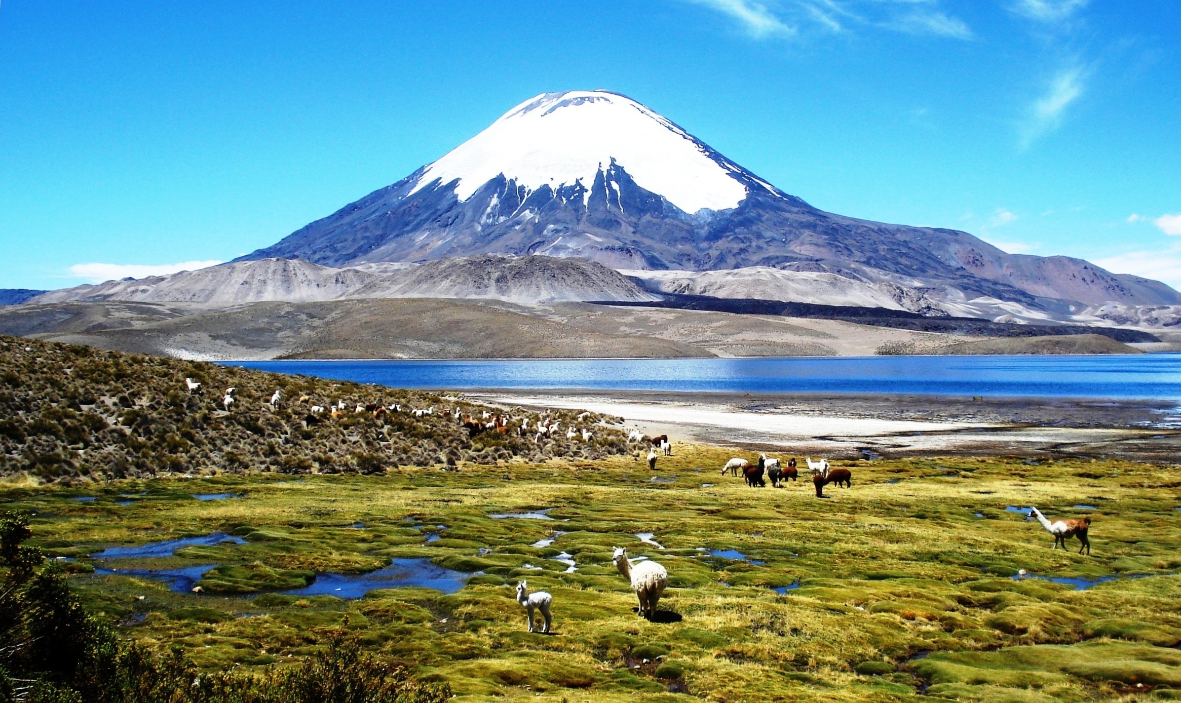 جاذبه های گردشگری وتوریستی شیلی